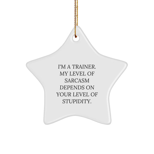 Funny Trainer Gifts from Men - Star Ornament for Trainer Friends, Trainer Family, Trainer Coworkers, and Trainer Women - Christmas Unique Gifts - Image 1
