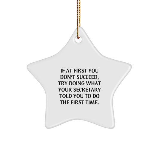 Funny Secretary Star Ornament Gifts from Friends for Men or Women, Christmas Unique Decorations, 'If At First You Don't Succeed, Try Doing What Your Secretary Told You To Do The First Time.' - Image 1