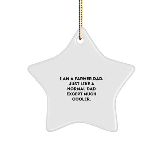 Funny Farmer Gifts from Family - Star Ornament for Farmer Dad Like a Normal Dad Except Much Cooler, Unique Christmas Unique Gifts for Men, Women, and Friends - Image 1