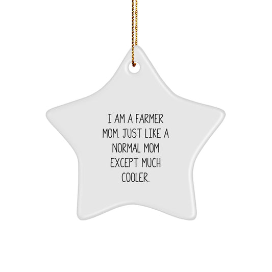 Funny Farmer Gifts from Mom, Christmas Unique Star Ornament for Farmer Family Members, Cute Farmer Mom Star Ornament with Gold Cord - Image 1