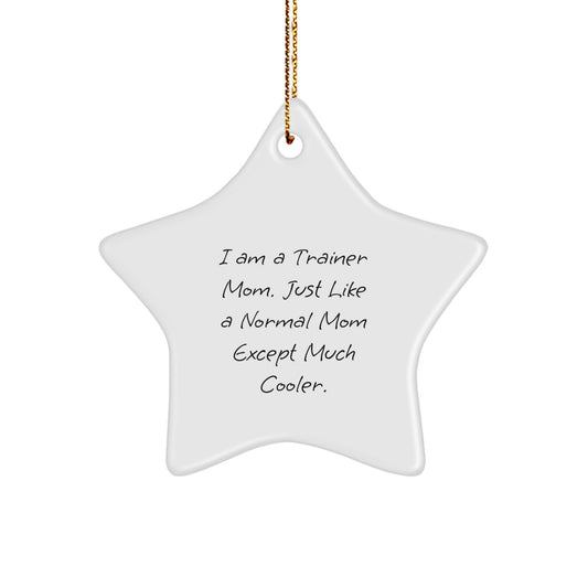 Funny Trainer Mom Star Ornament Gifts from Friends for Trainer Christmas - Image 1