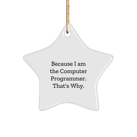 Funny Computer Programmer Gifts for Men - Because I Am The Computer Programmer. That's Why. Star Ornament Christmas Unique Gifts from Family - Image 1