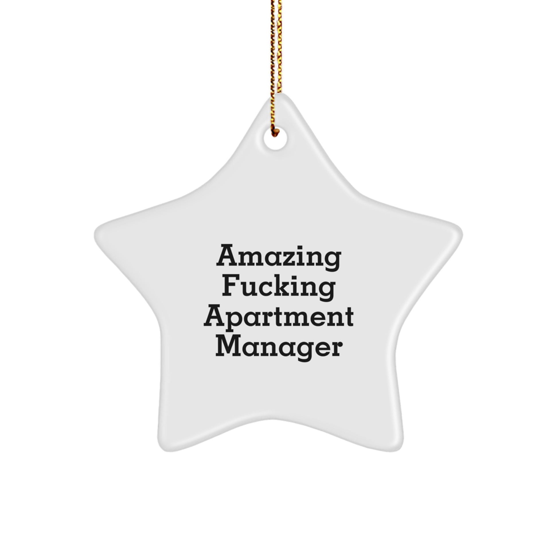 Funny Gifts from Friends for Amazing F--king Apartment Manager Star Ornament Christmas Decoration - Image 1