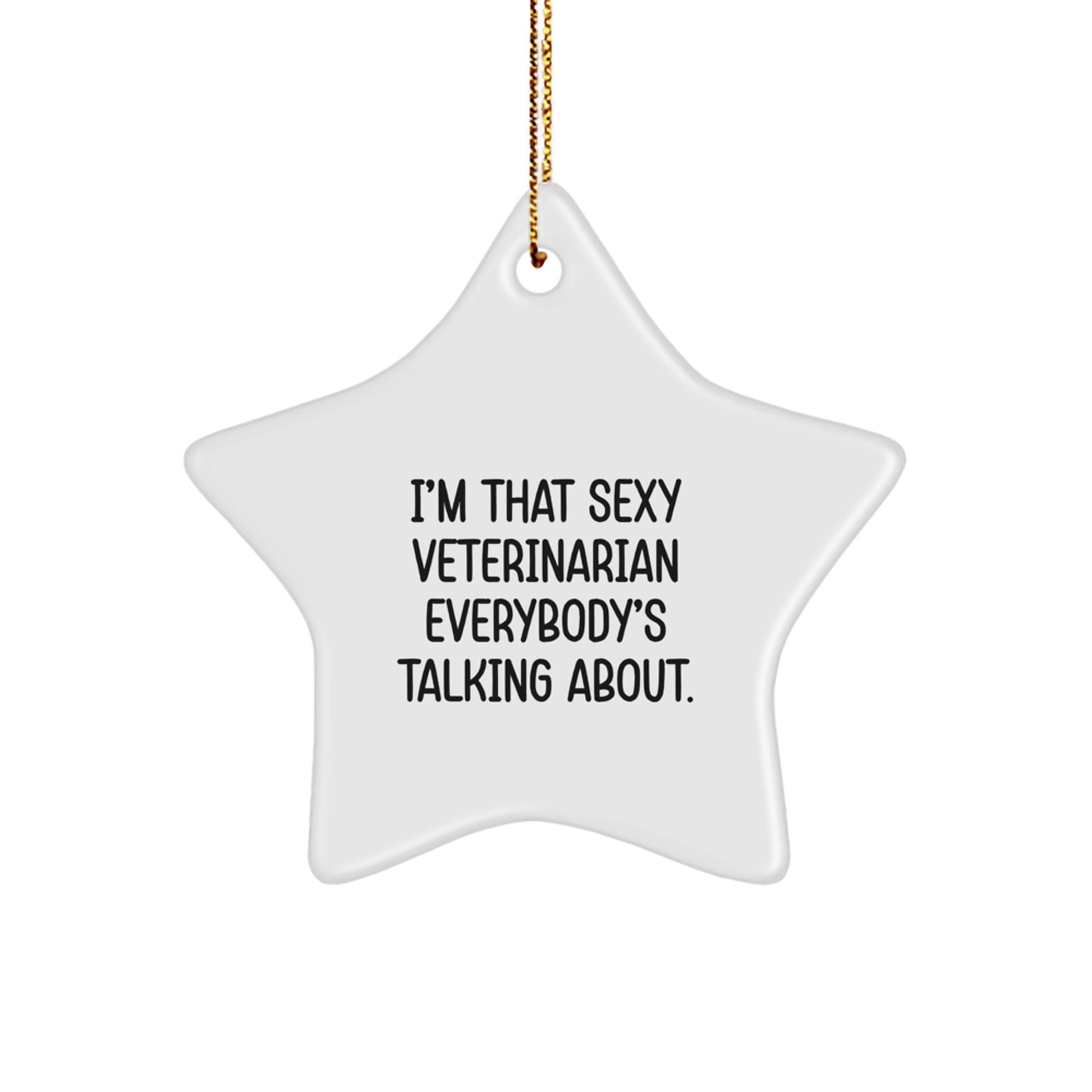 Funny Veterinarian Gifts from Friends for Veterinarian Men Women Christmas Unique Ornaments - Image 1