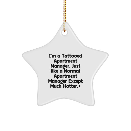 Funny Gifts from Men for Apartment Managers - Hotter Than Normal - Christmas Star Ornament - Image 1