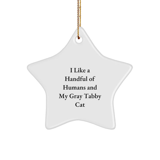 Cute Gray Tabby Cat Star Ornament Gifts from Men to Family at Christmas Time, Funny Quote 'I Like A Handful Of Humans And My Gray Tabby Cat' Star Shaped Decoration - Image 1