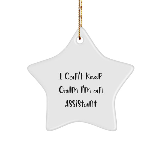 Funny Assistant Star Ornament Gifts from Friends for Christmas - 'I Can't Keep Calm I'm An Assistant' - Image 1
