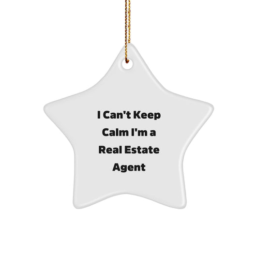 Funny Inspirational Real Estate Agent Star Ornament Gifts for Real Estate Agents from Family Friends - Image 1