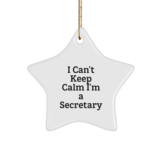 Funny I Can't Keep Calm I'm A Secretary Christmas Office Star Ornament Gifts from Friends for Secretaries - Image 1