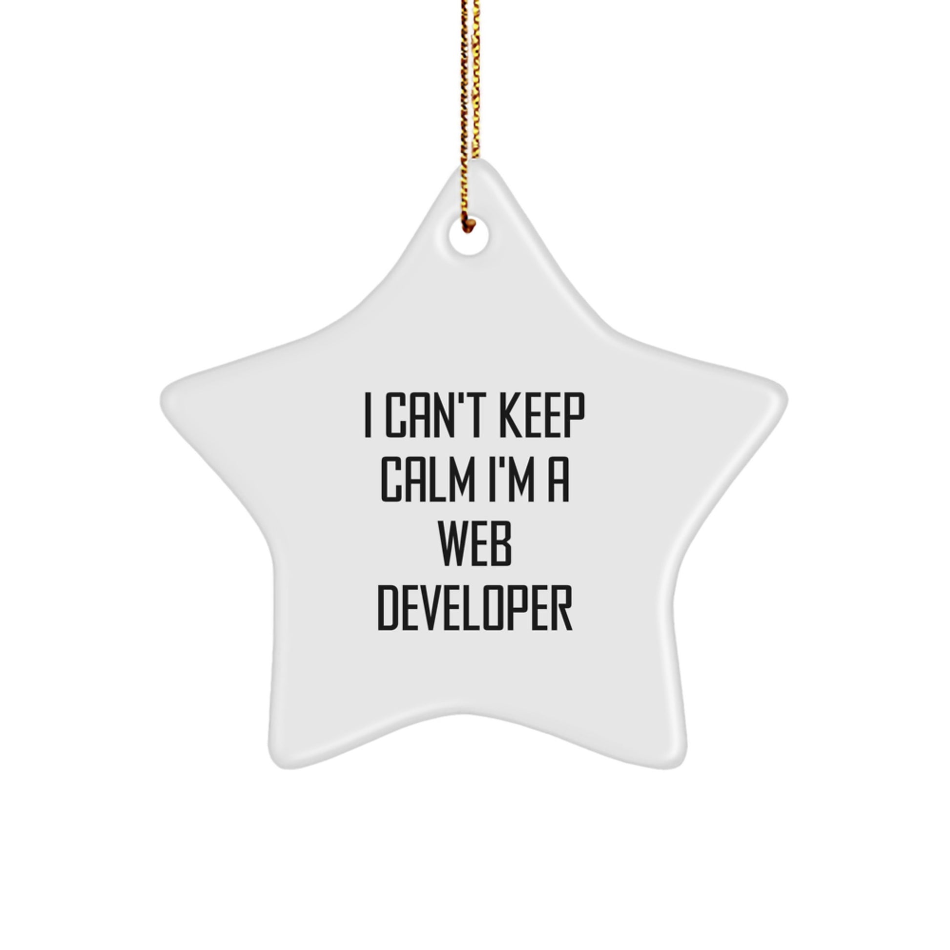 Funny Web Developer Gifts from Friends for Christmas Unique Star Ornament - 'I Can't Keep Calm I'm A Web Developer' - Image 1