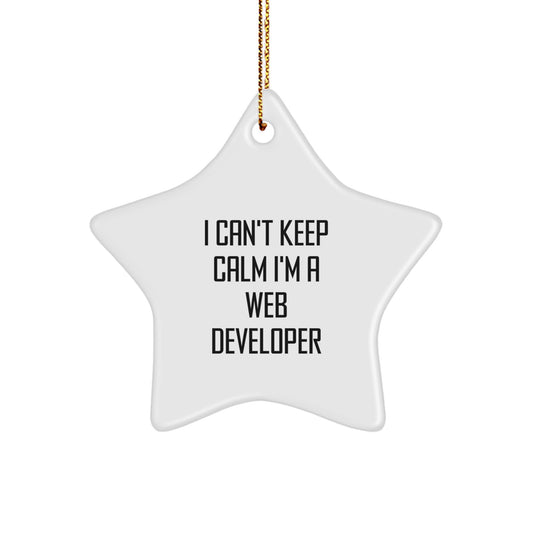 Funny Web Developer Gifts from Friends for Christmas Unique Star Ornament - 'I Can't Keep Calm I'm A Web Developer' - Image 1