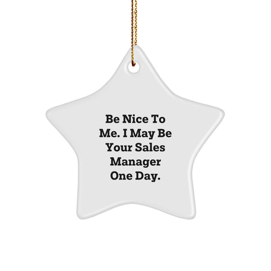 Funny Sales Manager Gifts - Be Nice To Me. I May Be Your Sales Manager One Day. Star Ornament, Perfect for Christmas - Image 1