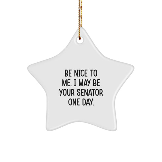 Funny Senator Gifts, Be Nice To Me. I May Be Your Senator One Day., Star Ornament for Men, Women, Friends, or Coworkers, Gifts from Family, Christmas Unique Gifts - Image 1