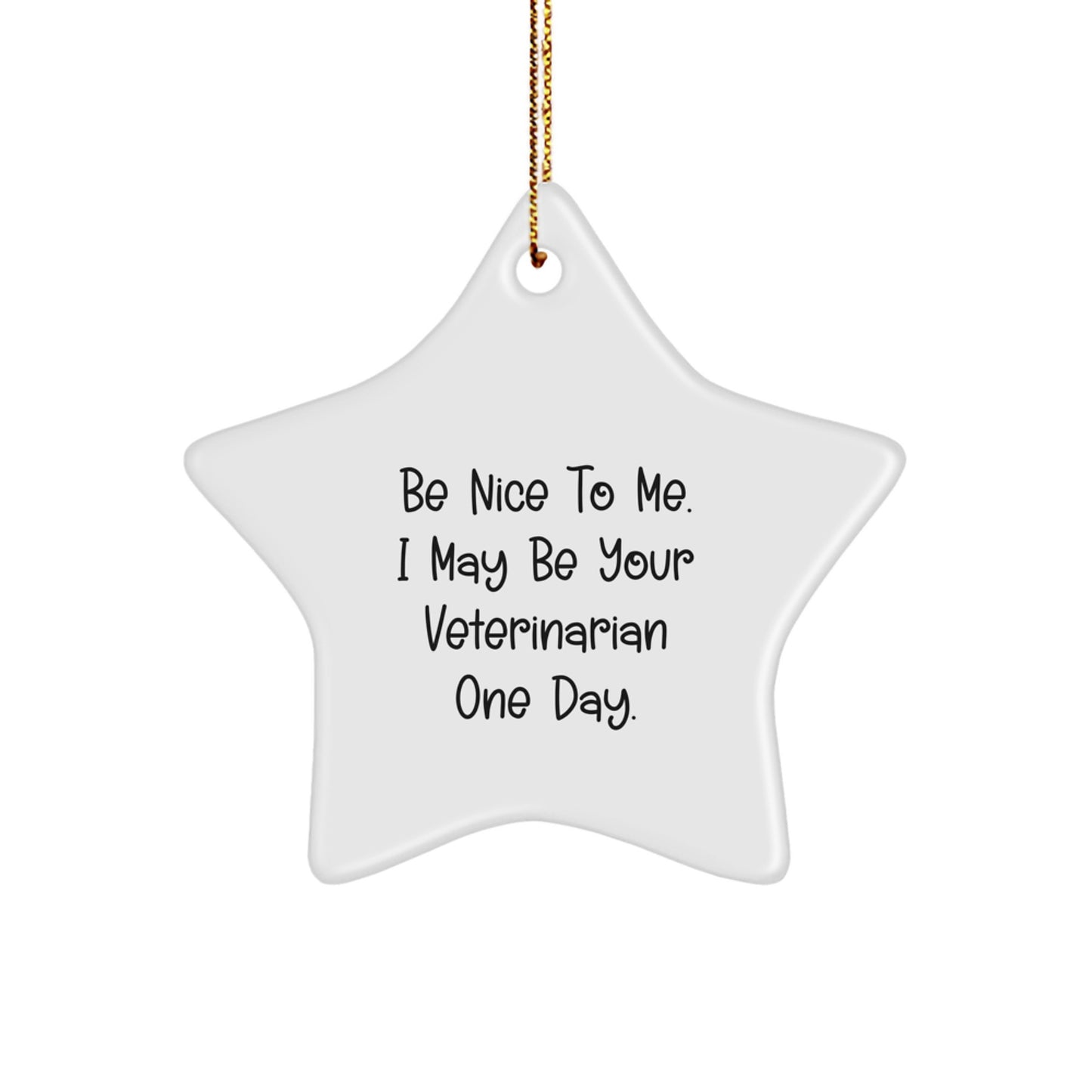 Funny Veterinarian Star Ornament Gifts from Men to Friends for Christmas Unique Decorations, Be Nice To Me I May Be Your Veterinarian One Day, Star Ornament for Vet Graduation Gifts - Image 1