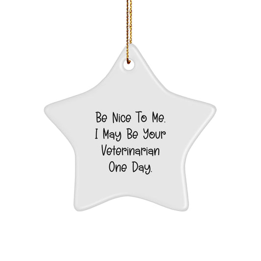 Funny Veterinarian Star Ornament Gifts from Men to Friends for Christmas Unique Decorations, Be Nice To Me I May Be Your Veterinarian One Day, Star Ornament for Vet Graduation Gifts - Image 1