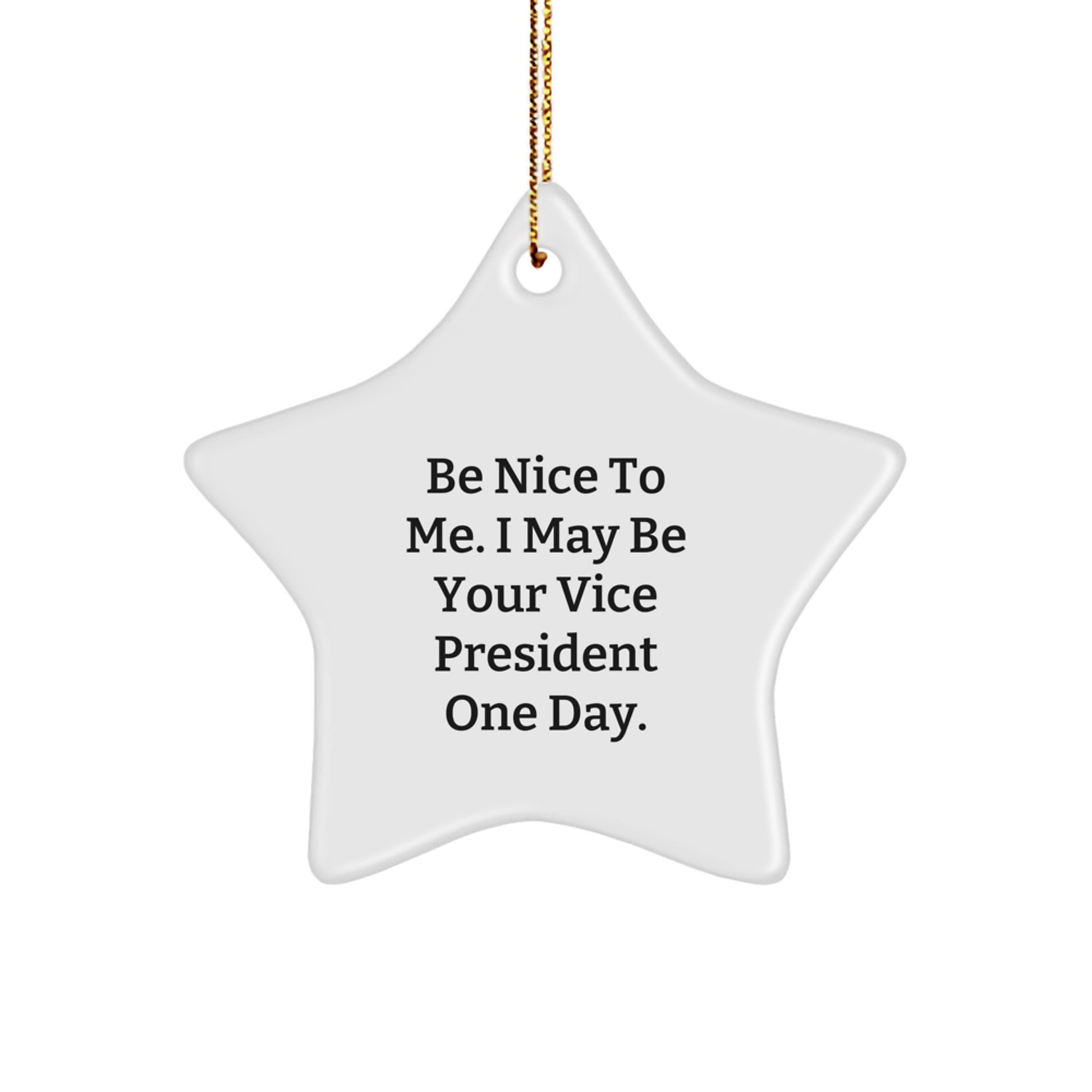 Funny Vice President Christmas Star Ornament Gifts from Men to Vice President Friends - Image 1