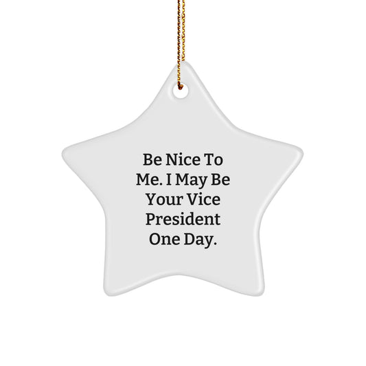 Funny Vice President Christmas Star Ornament Gifts from Men to Vice President Friends - Image 1