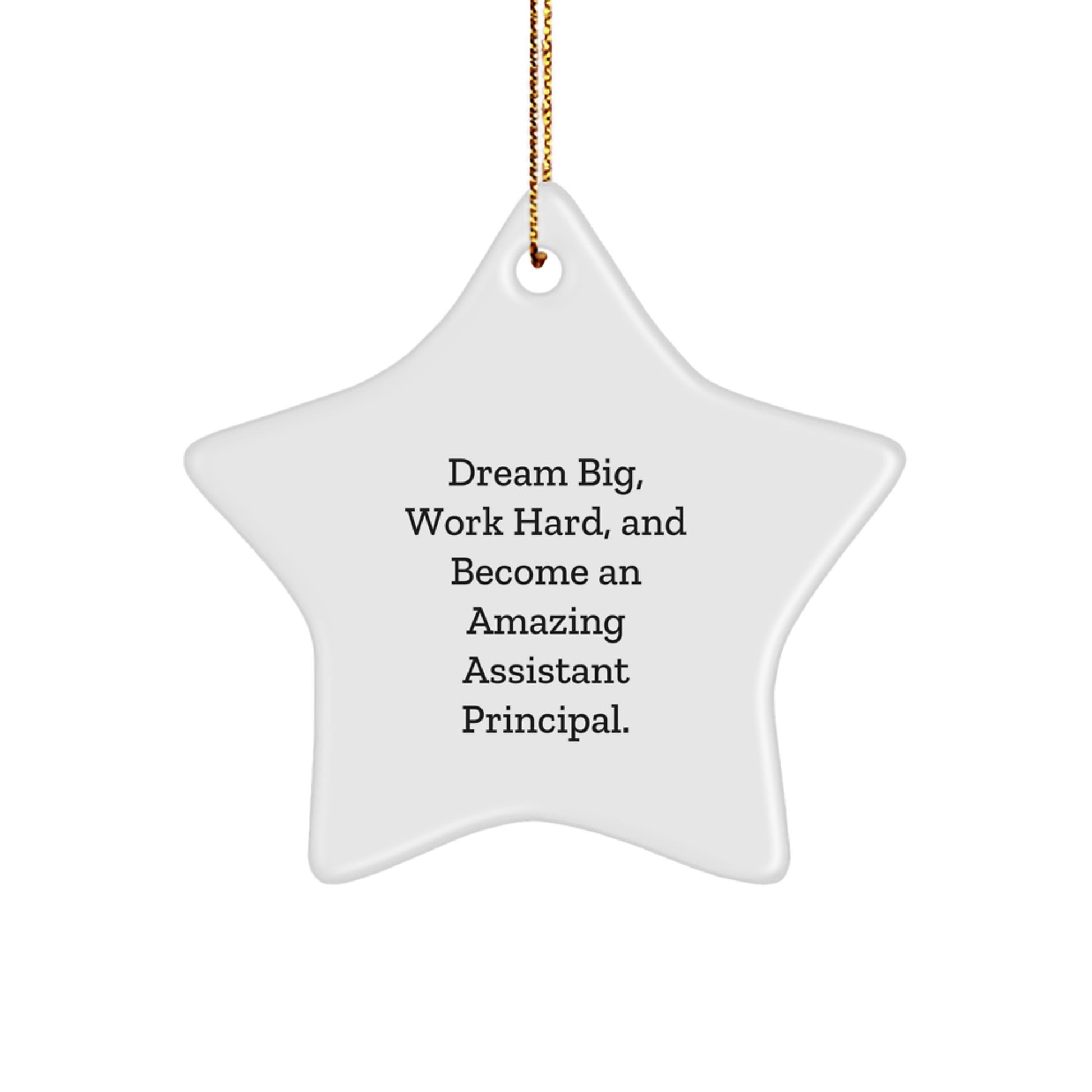 Assistant Principal Gifts Funny Star Ornament Inspirational Quote - Dream Big, Work Hard, Gifts from Men to Assistant Principal, Christmas Unique Gifts - Image 1