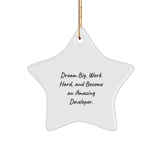 Developer Gifts, Star Ornament, and Inspirational Quote: 'Dream Big, Work Hard, And Become An Amazing Developer' for Christmas Unique Gifts from Friends to Family - Image 1