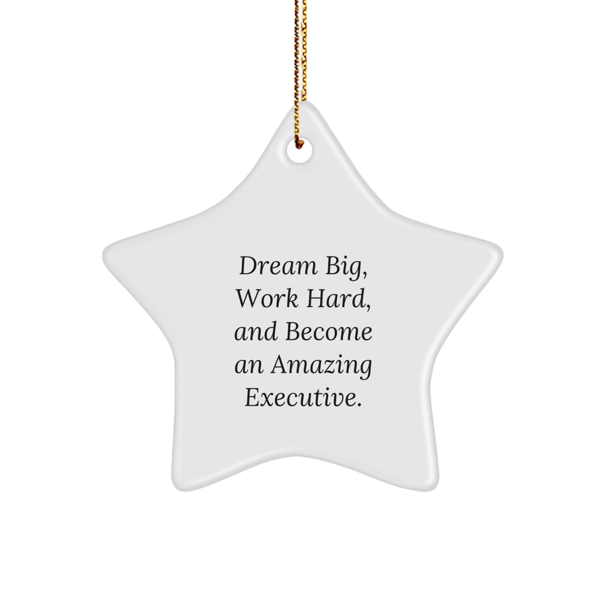 Funny Executive Star Ornament Gifts from Friends or Family for Christmas Unique Decorations Dream Big Work Hard Inspirational Motivational Quotes - Image 1