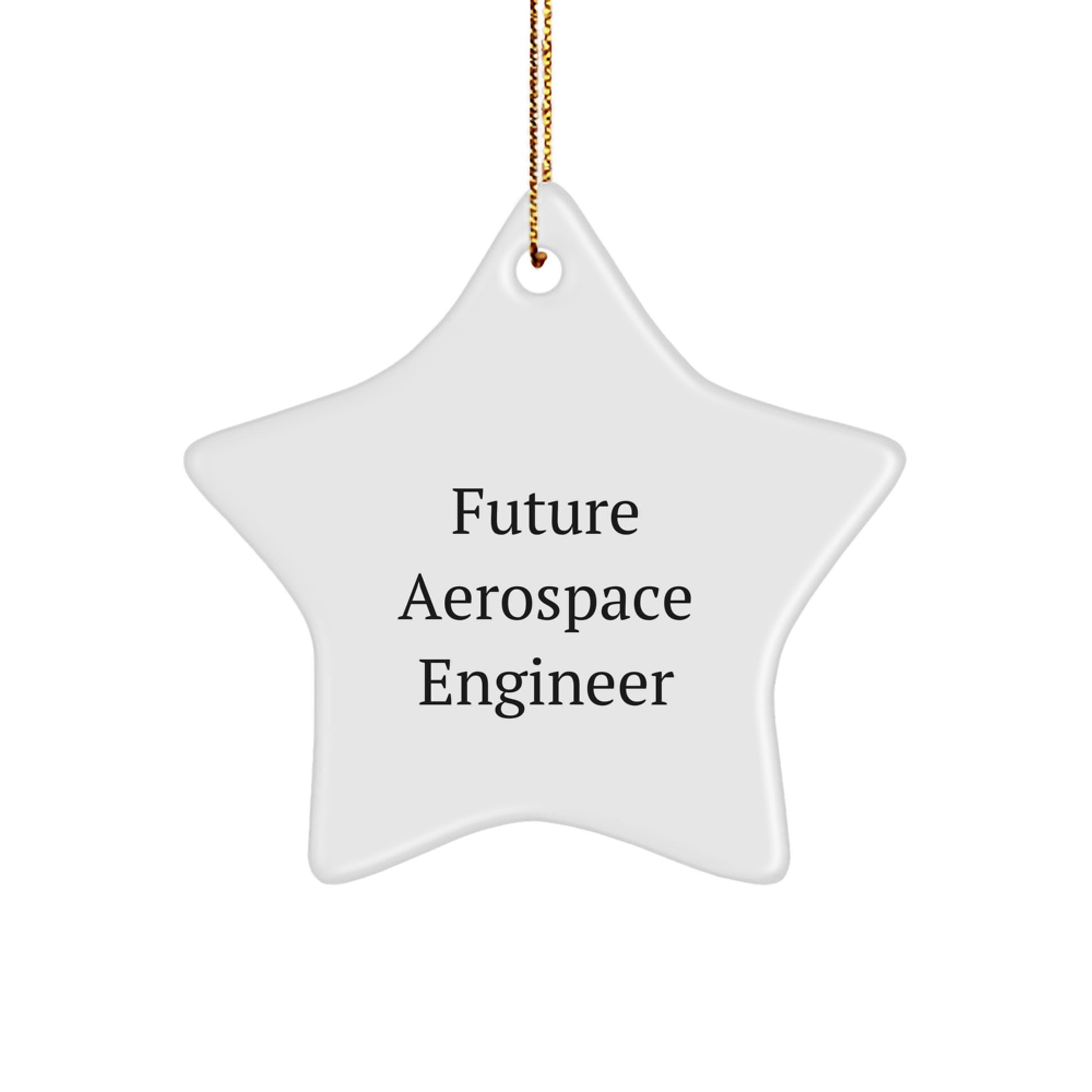 Funny Future Aerospace Engineer Gifts from Family for Christmas - Star Ornament, 'Reach for the Stars' - Image 1