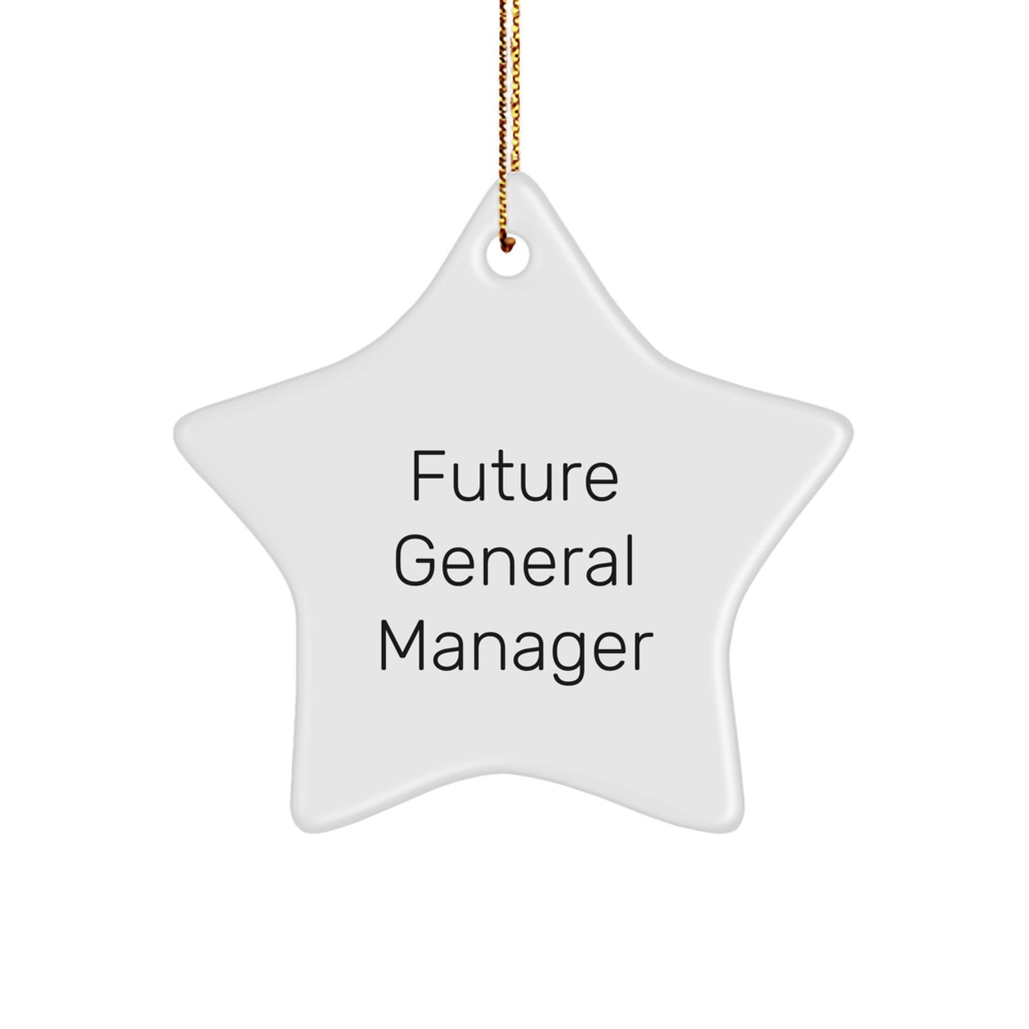 Funny General Manager Gifts from Friends, Inspirational Star Ornament for Christmas Unique Gifts, 'Future General Manager' Quote, Durable MDF Star Shaped Decoration - Image 1