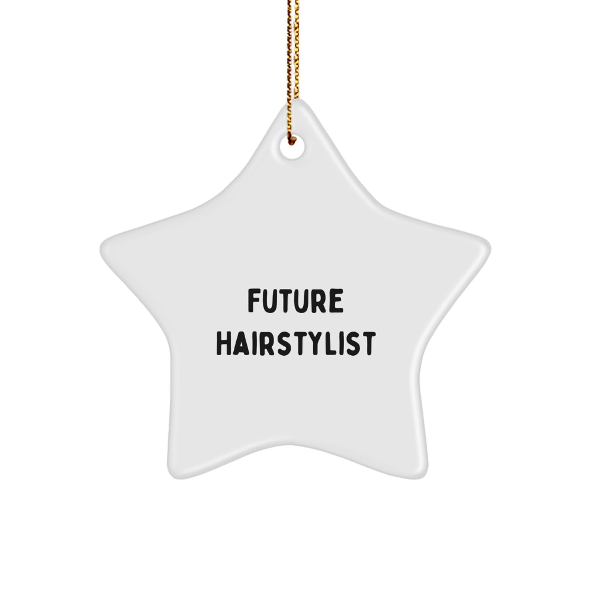 Future Hairstylist Star Ornament, Funny Quote Gifts for Hairstylists, Gifts from Family, Friends, Coworkers, Christmas Unique Gifts - Image 1