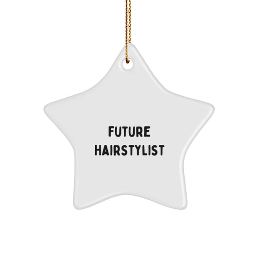 Future Hairstylist Star Ornament, Funny Quote Gifts for Hairstylists, Gifts from Family, Friends, Coworkers, Christmas Unique Gifts - Image 1
