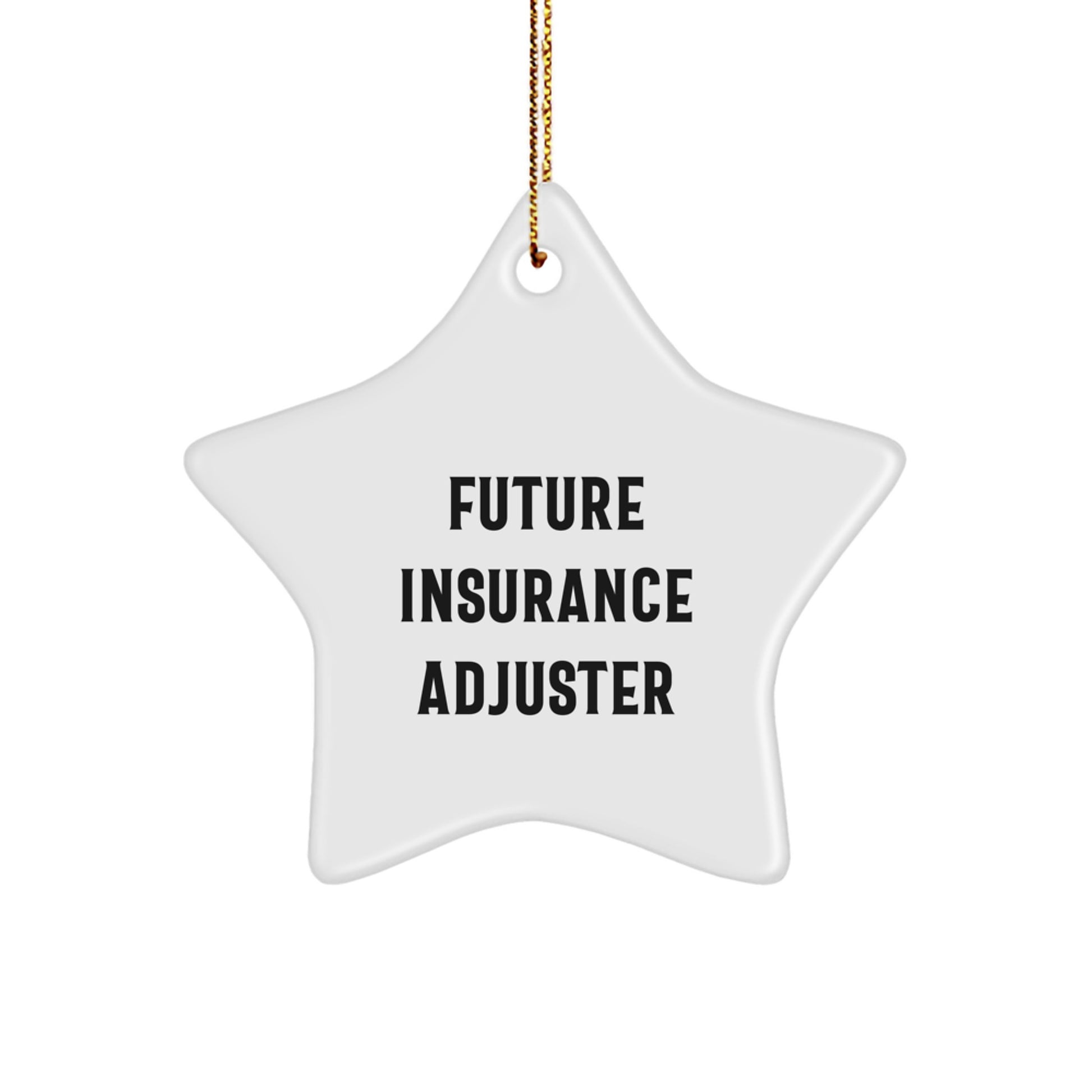 Insurance Adjuster Gifts from Men for Future Insurance Adjuster - Funny Star Ornament for Christmas - Image 1