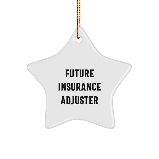 Insurance Adjuster Gifts from Men for Future Insurance Adjuster - Funny Star Ornament for Christmas - Image 1