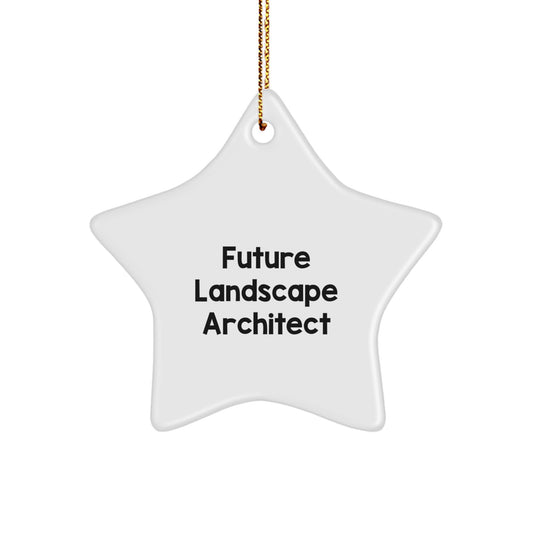 Funny Future Landscape Architect Star Ornament Gifts from Family for Men - Christmas Unique Star Shaped Decoration - Image 1