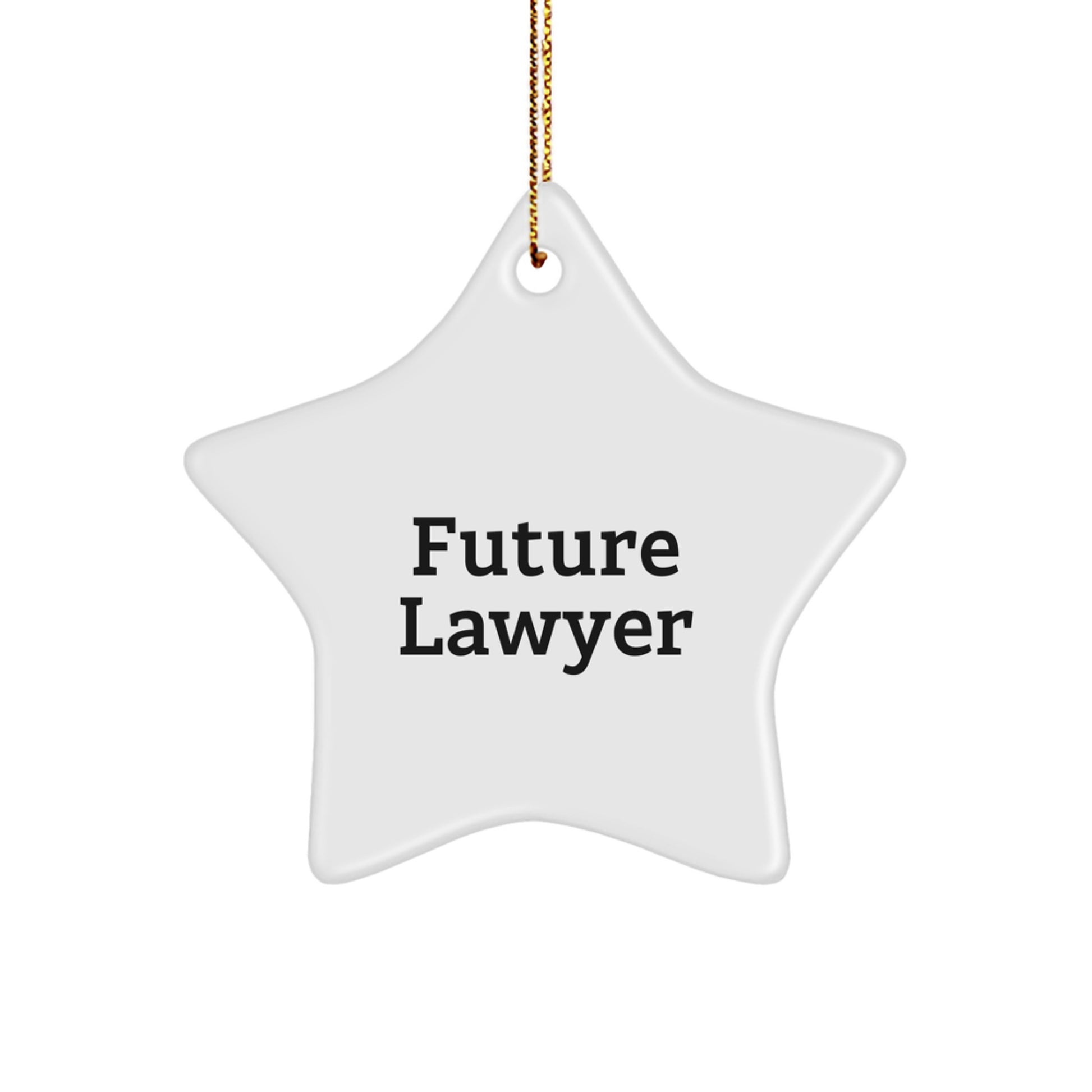 Funny Future Lawyer Star Ornament Gifts from Family for Men - 'You're a Future Star' Quote, Durable MDF Material, Vibrant Colors, Christmas Unique Gift - Image 1
