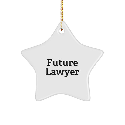 Funny Future Lawyer Star Ornament Gifts from Family for Men - 'You're a Future Star' Quote, Durable MDF Material, Vibrant Colors, Christmas Unique Gift - Image 1