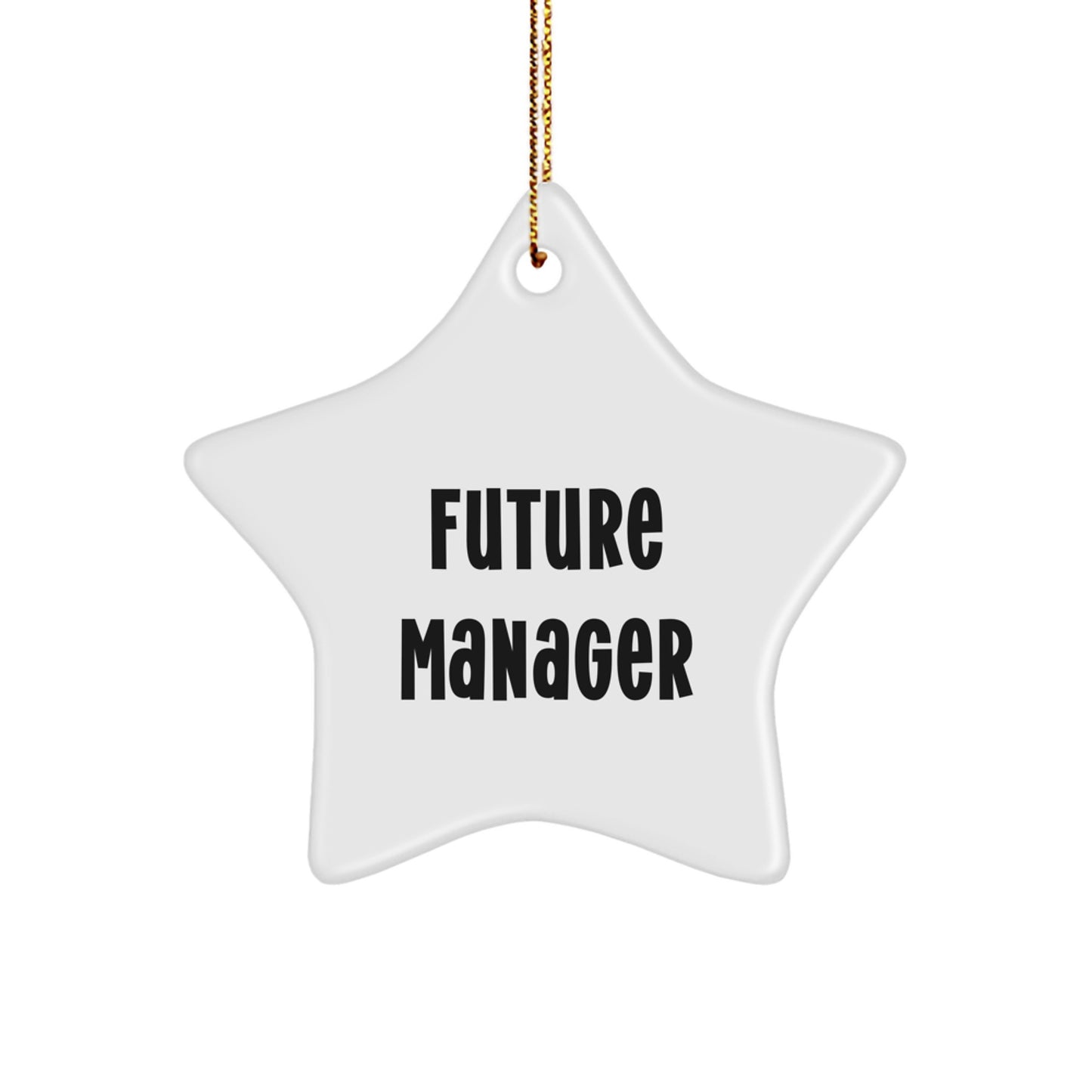 Funny Manager Gifts from Friends for Christmas - Star Ornament Quote 'You're the Future Manager' - Image 1