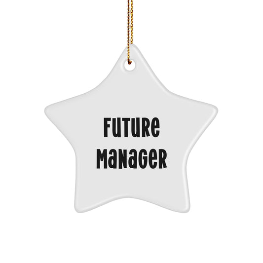 Funny Manager Gifts from Friends for Christmas - Star Ornament Quote 'You're the Future Manager' - Image 1