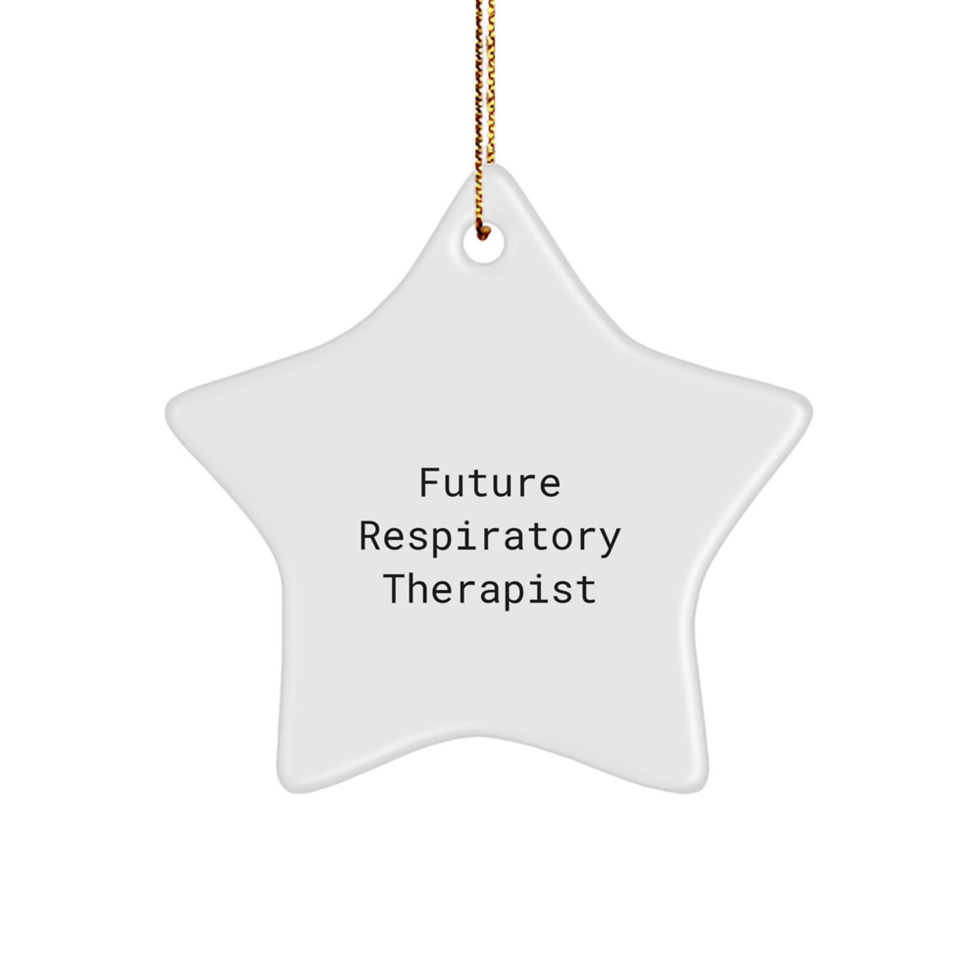 Funny Future Respiratory Therapist Star Ornament, 'You're the Brightest Star in the Hospital' Gifts from Men to Friends for Christmas - Image 1