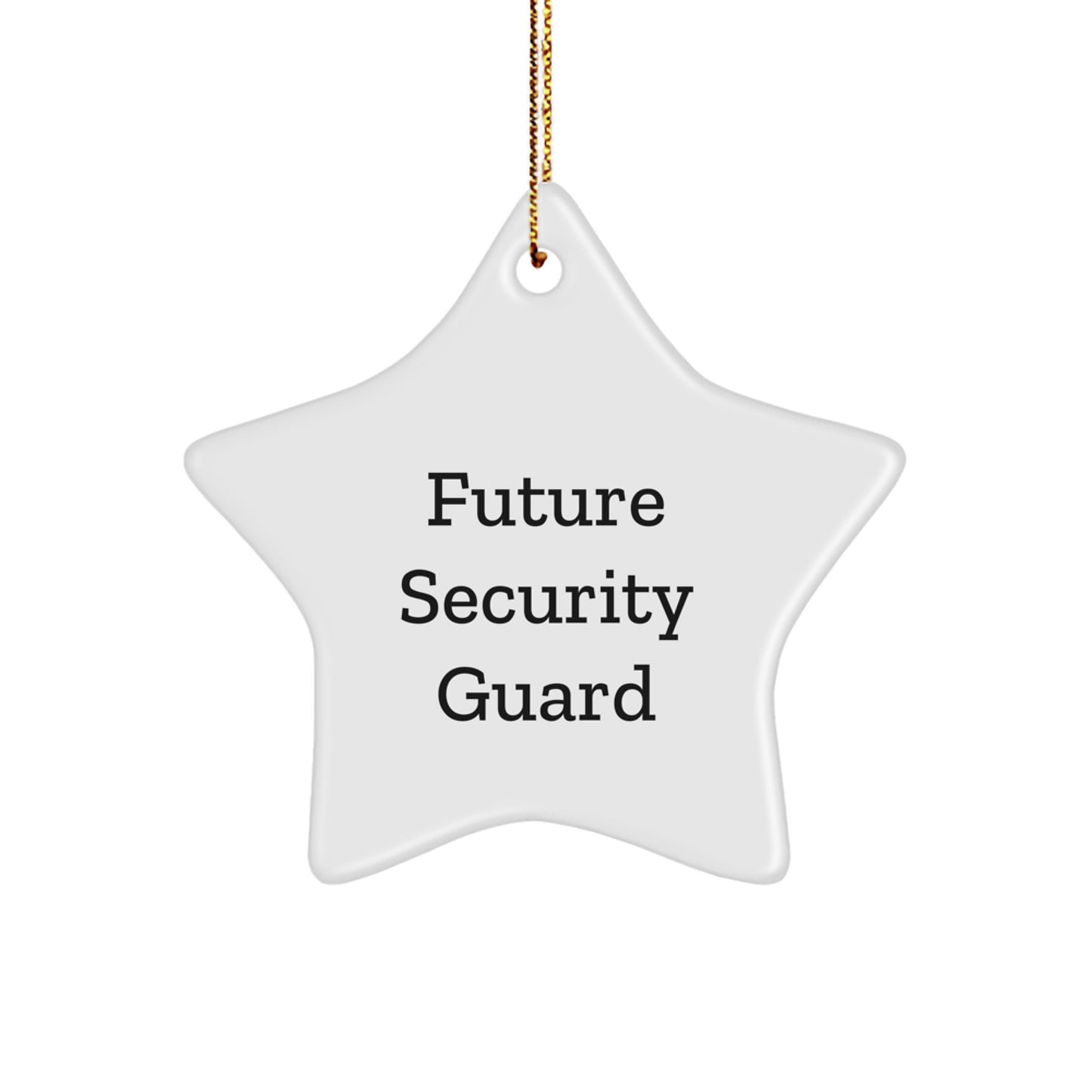 Future Security Guard Funny Christmas Unique Gift for Him - Star Ornament from Family with Inspirational Quote - Perfect Unique Decoration for Home Office Desk - Image 1