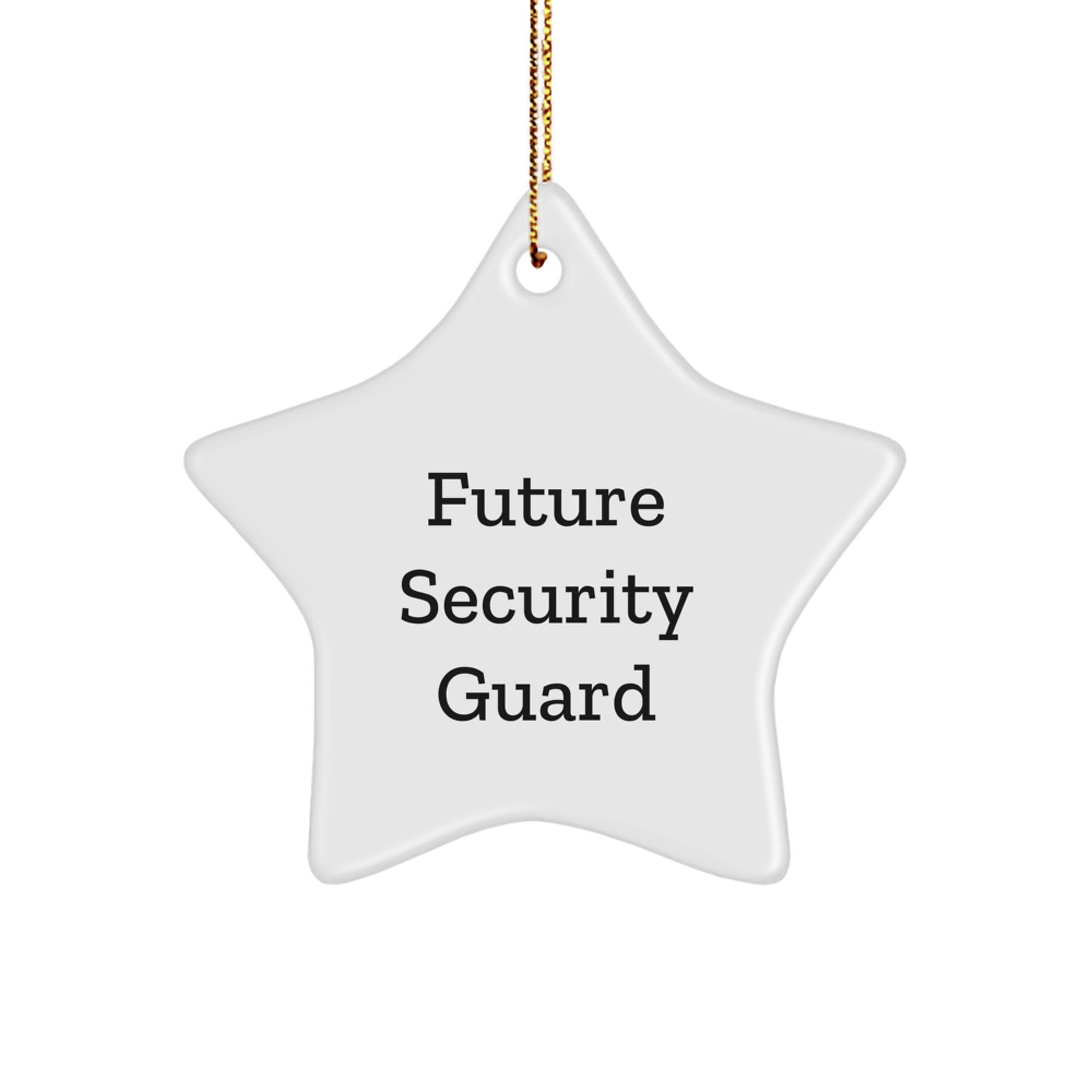 Future Security Guard Funny Christmas Unique Gift for Him - Star Ornament from Family with Inspirational Quote - Perfect Unique Decoration for Home Office Desk - Image 1