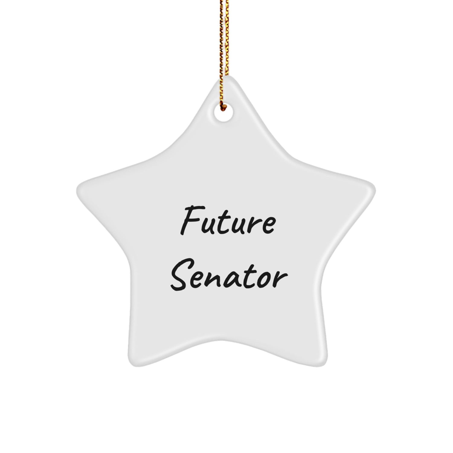 Funny Senator Future Star Ornament Gifts from Friends for Christmas Unique Senator Star Shaper - Image 1