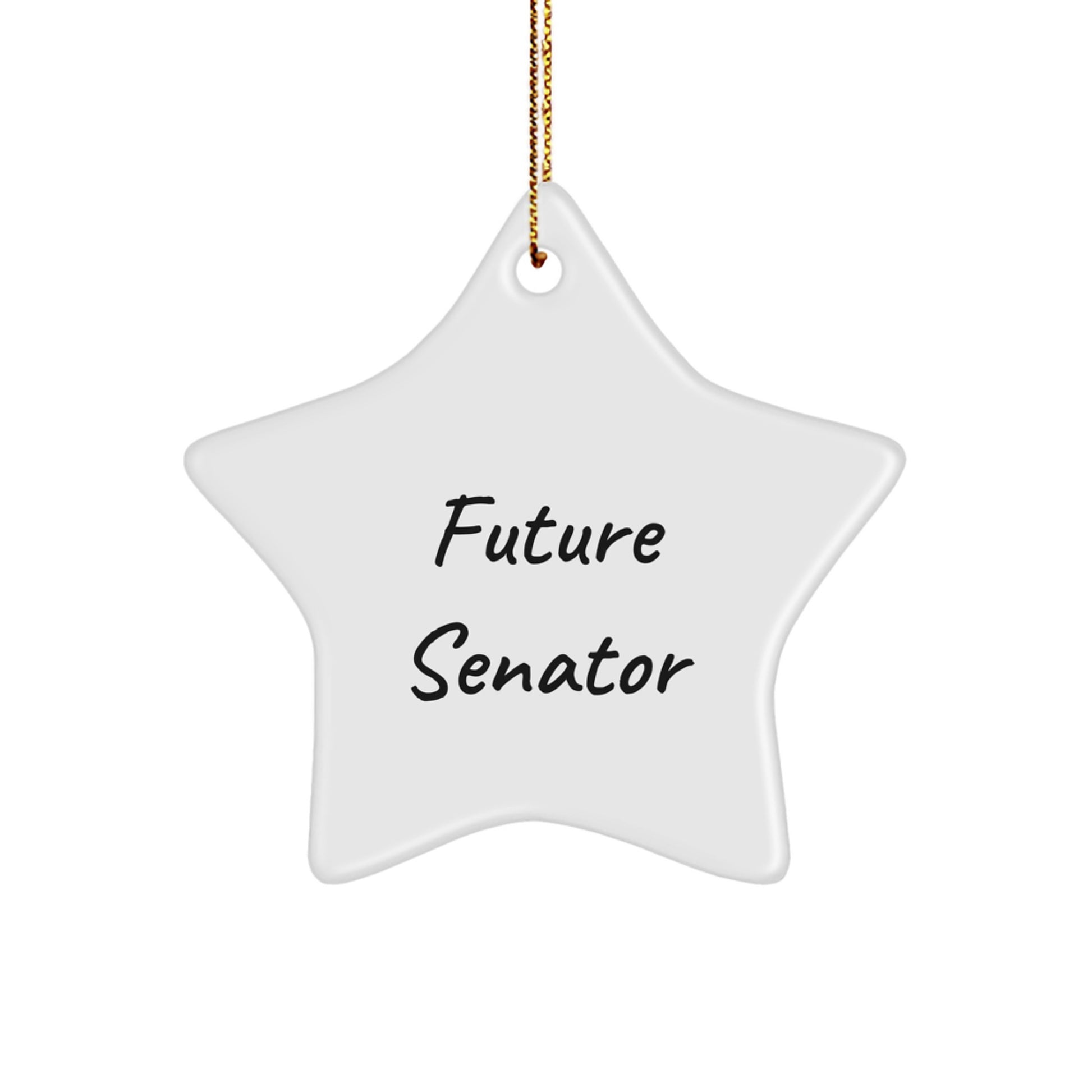 Funny Senator Future Star Ornament Gifts from Friends for Christmas Unique Senator Star Shaper - Image 1