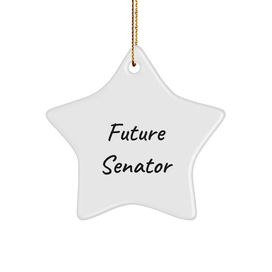 Funny Senator Future Star Ornament Gifts from Friends for Christmas Unique Senator Star Shaper - Image 1