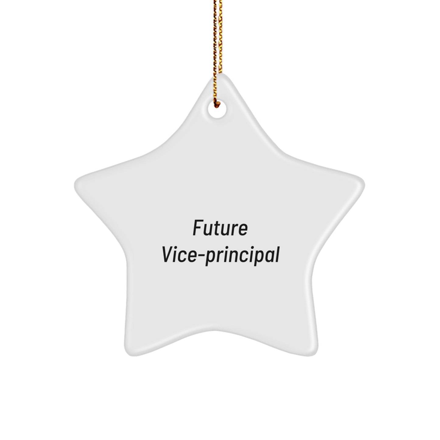 Funny Quote Vice-Principal Gifts from Friends for Christmas Unique Star Ornament, Future Vice-Principal Star Shaped, Gifts for Vice-Principal - Image 1