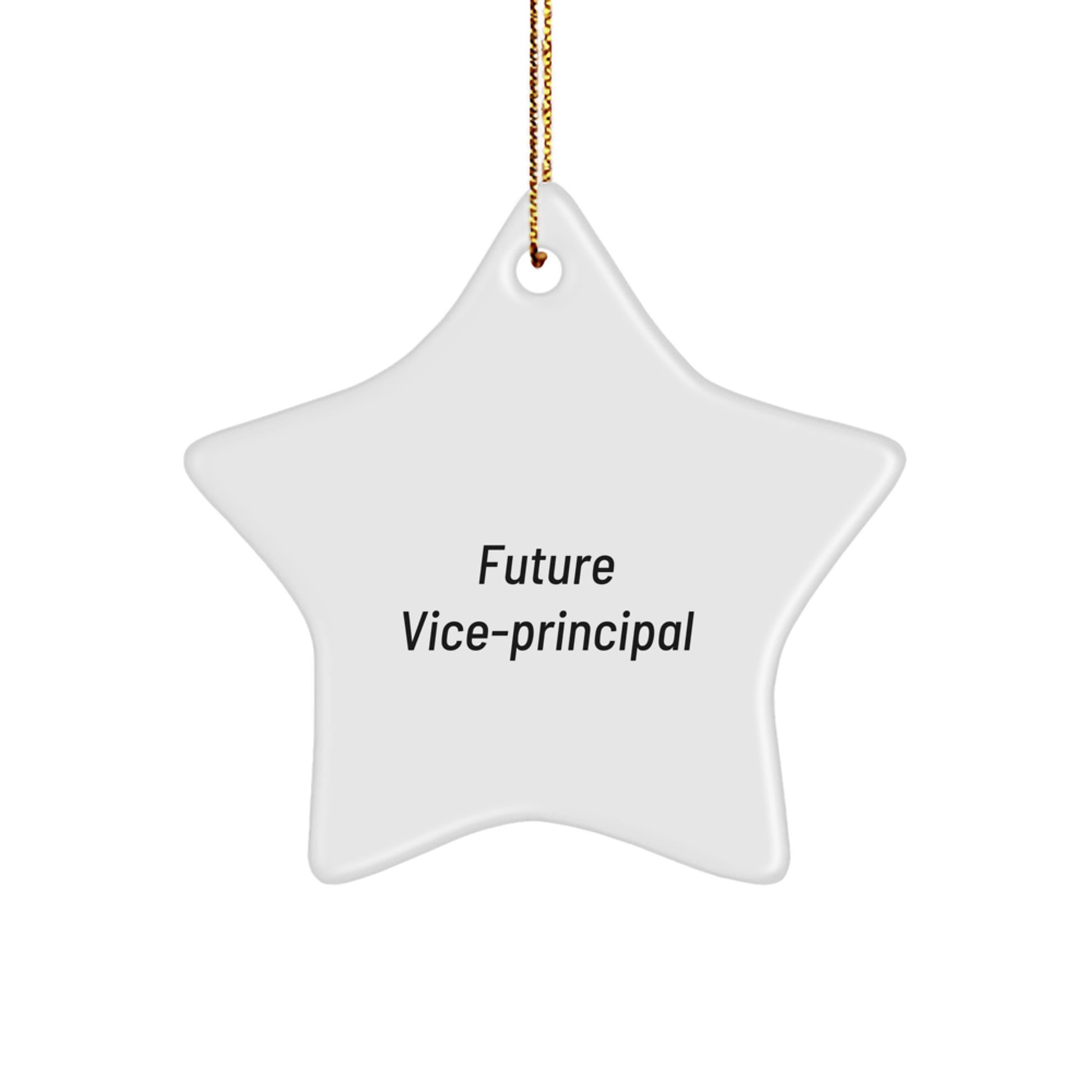 Funny Quote Vice-Principal Gifts from Friends for Christmas Unique Star Ornament, Future Vice-Principal Star Shaped, Gifts for Vice-Principal - Image 1