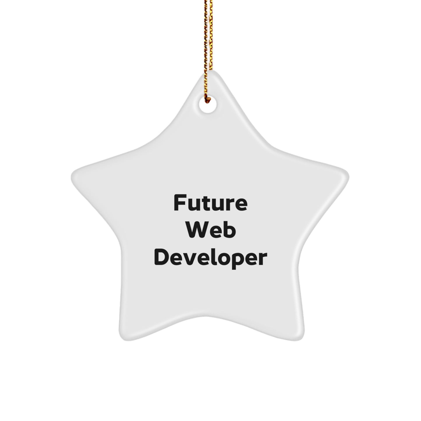 Funny Quote for Future Web Developer Gifts from Family - Christmas Unique Star Ornament for Home Decor Web Developer Men Women Friends - Image 1