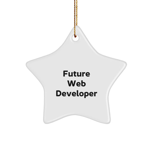 Funny Quote for Future Web Developer Gifts from Family - Christmas Unique Star Ornament for Home Decor Web Developer Men Women Friends - Image 1