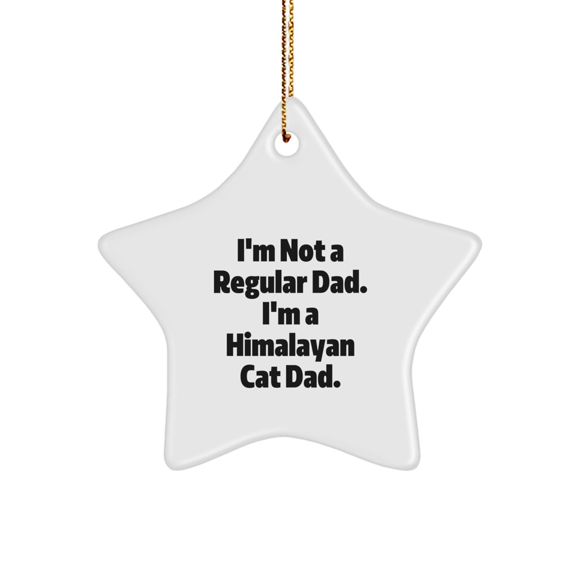 Himalayan Cat Dad Funny Christmas Star Ornament Gifts from Men to Family - Image 1