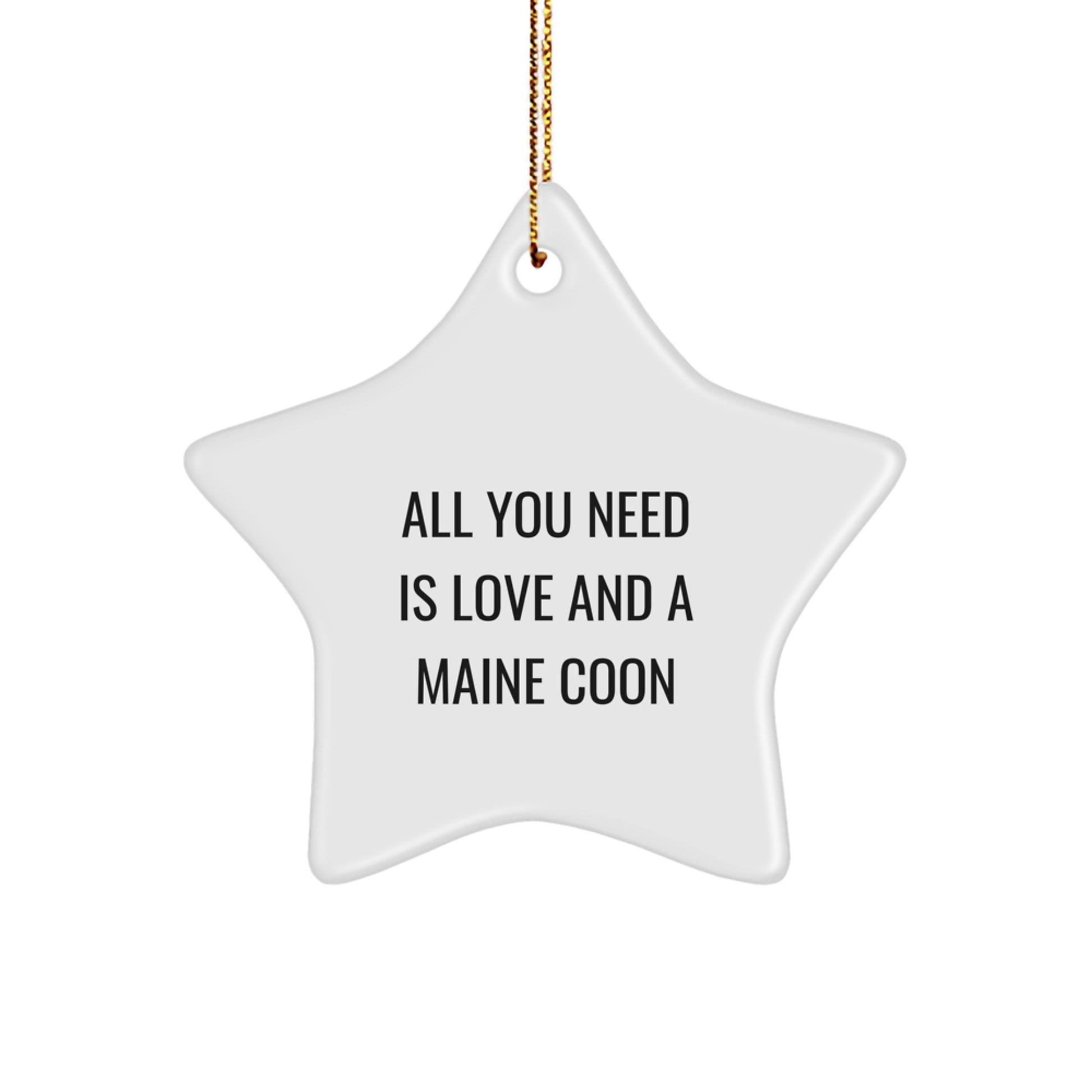 Funny Maine Coon Cat Star Ornament Gifts from Friends for Christmas Unique Gifts - Image 1