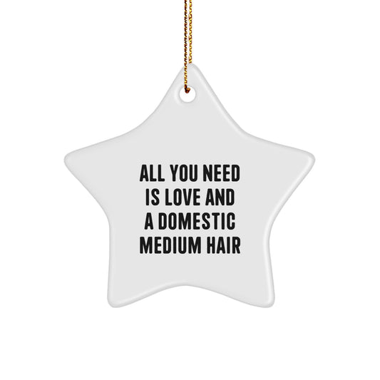 Funny Domestic Medium Hair Cat Star Ornament Gifts from Women for Christmas Unique Decorations All You Need Is Love And A Domestic Medium Hair - Image 1
