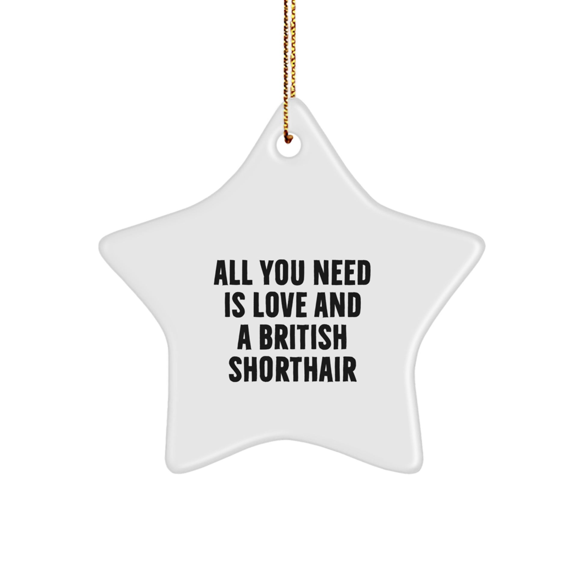 Funny British Shorthair Cat Star Ornament Gifts from Friends for Christmas Unique Presents - Image 1