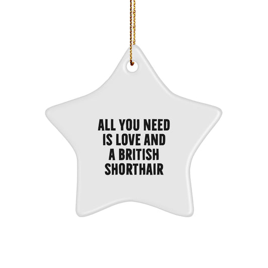 Funny British Shorthair Cat Star Ornament Gifts from Friends for Christmas Unique Presents - Image 1